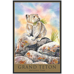 Grand Teton National Park Pika 
