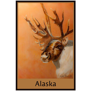 Alaska Bull Caribou 