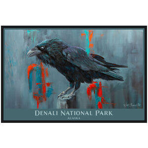 Denali National Park Alaska Lone Raven 