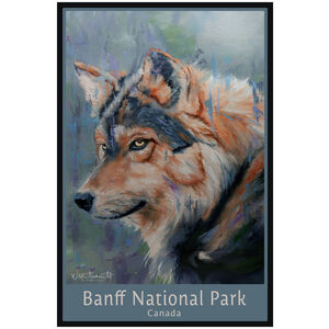 Banff National Park Canada Morning Predator Wolf 