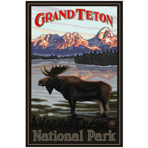 Grand Teton National Park Moose In Lake