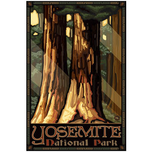 Yosemite National Park Giant Trees