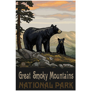 Great Smoky Mountains National Park Black Bear Family