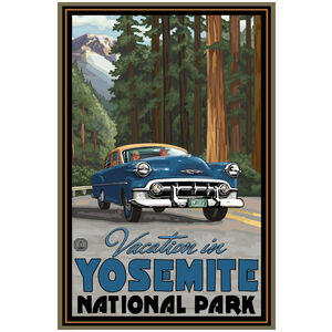 Yosemite National Park Road Trip Woods