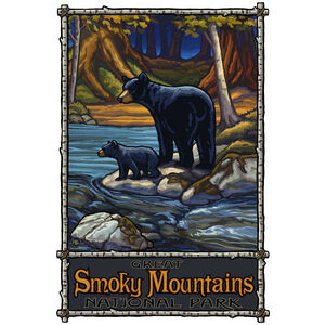 Great Smoky Mountains National Park Bears In Stream
