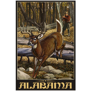 Alabama Whitetail Deer & Hunter